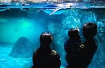 Private Yokohama Family Tours with Local Guides 100% Personalized