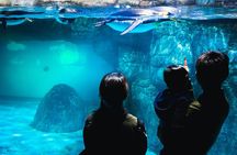 Private Tour Guide Yokohama with a Local: Kickstart your Trip, Personalized