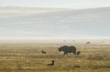 5 days nothern Tanzania Game drive program