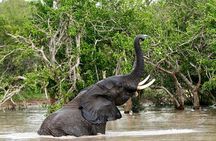 4 Day Kruger National Park and Panorama Route Safari