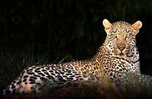 4 Day Kruger National Park and Panorama Route Safari