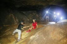 Discover Perak Tempurung Cave (from KL)