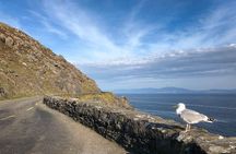Slea Head Photo & Sightseeing Tour