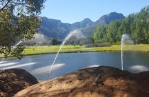 Scenic Private Wine Country Tour