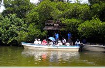 Southern Sri Lanka Sightseeing Private Day Trip