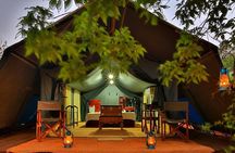 3 Days Adventure and Wildlife Tour