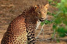 3 Days Adventure and Wildlife Tour