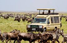 6 Days Budget Tanzania Camping Safari