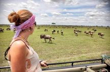 4 Days 3 Nights Tarangire Serengeti & Ngorongoro Lodge Safari