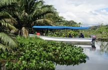 Gatun Expedition Monkey island Tour