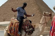 Private Half-Day Tours to Giza Pyramids and Sphinx with Camel Ride