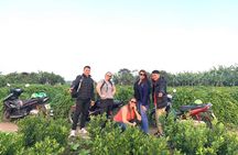 Best Hanoi Motorbike Tour: Local Guide, City Center & Countryside