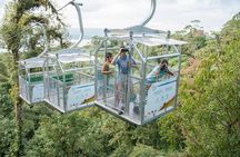 Sky Tram, Sky Trek and Sky Walk From Arenal