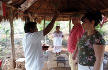 Playa del Carmen Cultural Day Tour
