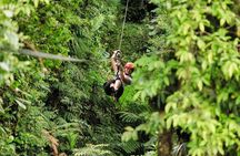 Selvatura Park Combo Tour From Monteverde