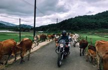 Da Lat's Countryside & Waterfalls Day Tour by Motorbike
