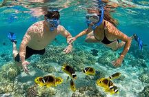 Pink Beach Lombok Snorkeling Tour