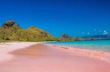 Pink Beach Lombok Snorkeling Tour