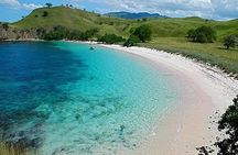 Pink Beach Lombok Snorkeling Tour