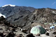 Mount Kilimanjaro climbing,7 days Lemosho Route.