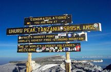 Mount Kilimanjaro climbing,7 days Lemosho Route.