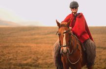 The Ultimate 6 Day Route through Ecuador's Andes and Amazon Tour