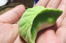 Half day Chengdu Dumpling Class: Make from Scratch