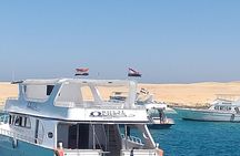 Private Snorkeling Boat Trip To Dolphin House From Hurghada