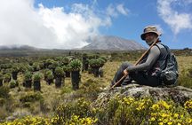 Kilimanjaro Marangu Route Day Tour