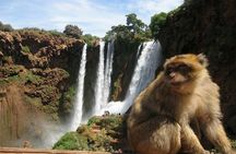 Shared group day trip from Marrakech to Ouzoud waterfalls