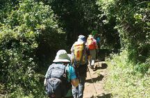 Kilimanjaro Marangu Route Day Tour