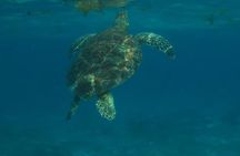See San Pedro from an Islanders perspective