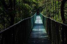 Selvatura Park Combo Tour From Monteverde