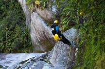 7 Day South Island Lick Tour