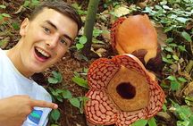Rafflesia Trek Seekers at Perak (from KL)