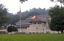 Kandy & Nuwara Eliya 2 Day Privet Tour