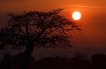 4 Day Serengeti & Ngorongoro Safari Wildlife Wonders of Tanzania