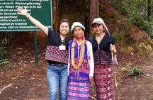 Private Tour Guide: Independent Guide & Team in Chiang Mai 