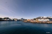 5 Highlights Of Lofoten From Svolvær