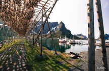 5 Highlights Of Lofoten From Svolvær