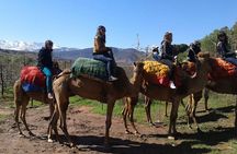 Private Day Trip from Marrakech: Camel Ride and Hike in the High Atlas Mountains