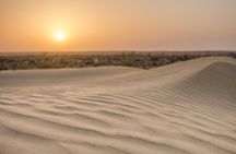 The Billion stars Experience in the Desert