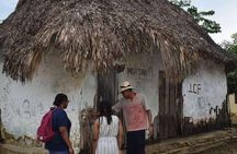 Saint Basil of Palenque; Historical and cultural experience