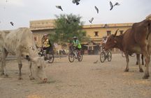 3-Hour Morning Bike Tour of Jaipur
