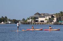 Round Island Kayak & Paddle Board Tour