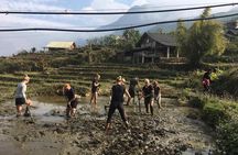 Sapa trekking - Unique Route - 2D1N
