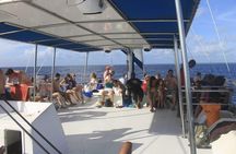 Enjoy an unforgettable catamaran ride with your children.