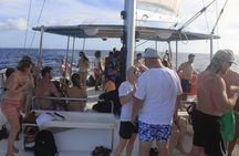 Enjoy an unforgettable catamaran ride with your children.