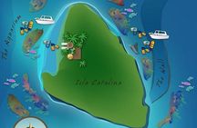 Scuba Diving at Catalina Island - All Inclusive - Full Day Tour