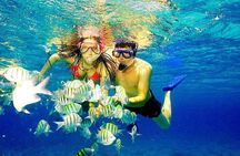 Scuba Diving at Catalina Island - 2 tank | 2 spots